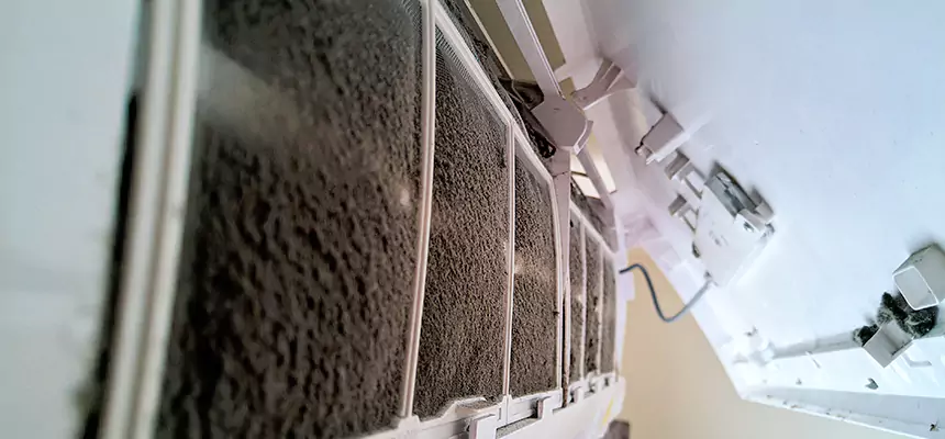 Preventive Air Duct Bacteria Removal in Centreville