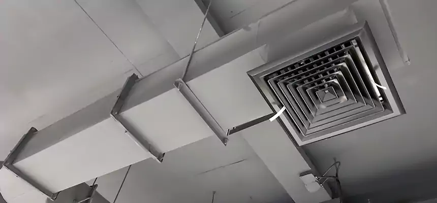 Our Pest Removal From Ducts Services in Centreville, VA