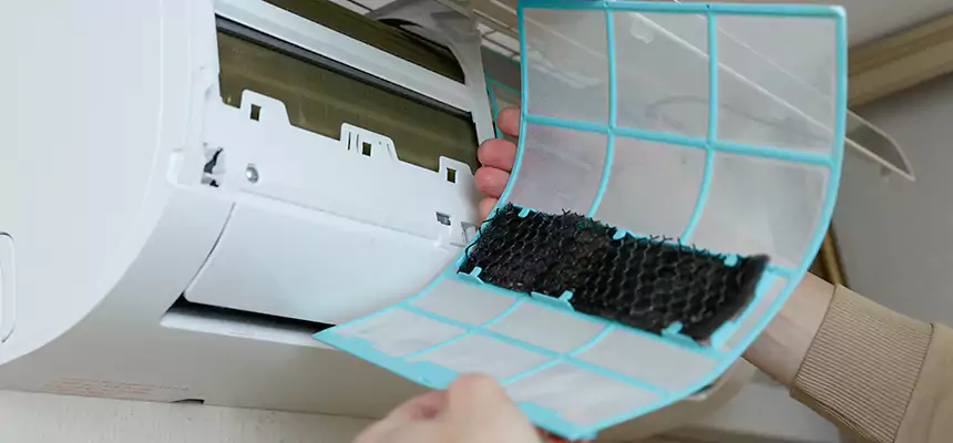 Gentle Ductwork Odor-Control Pet Dander Duct Cleaning in Centreville, VA