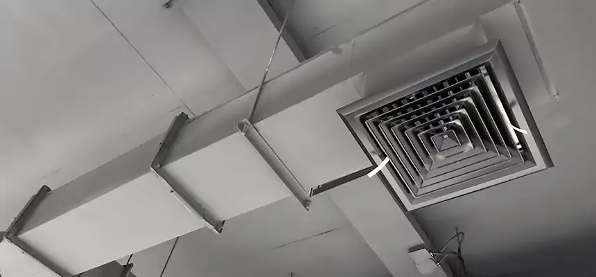 Our Rodent Droppings In Vents Services in Centreville, VA