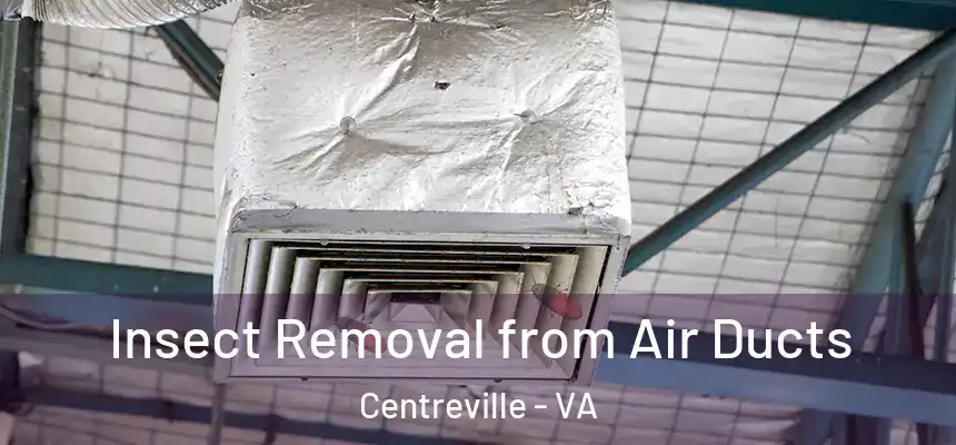 Insect Removal from Air Ducts Centreville - VA