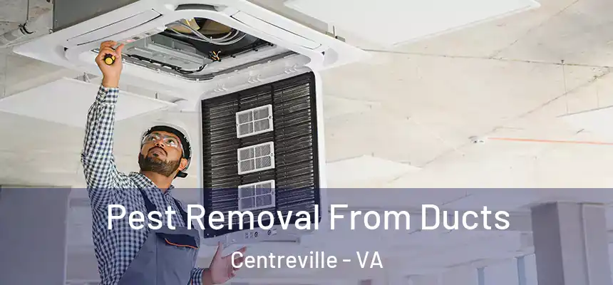 Pest Removal From Ducts Centreville - VA