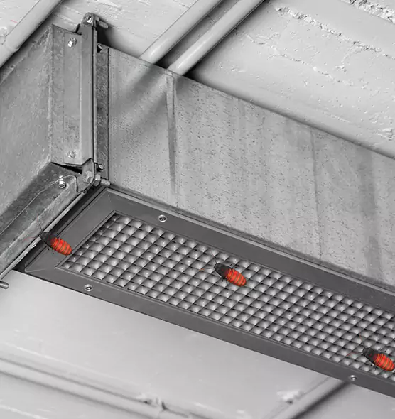 About Air Duct Cockroach Removal in Centreville, VA