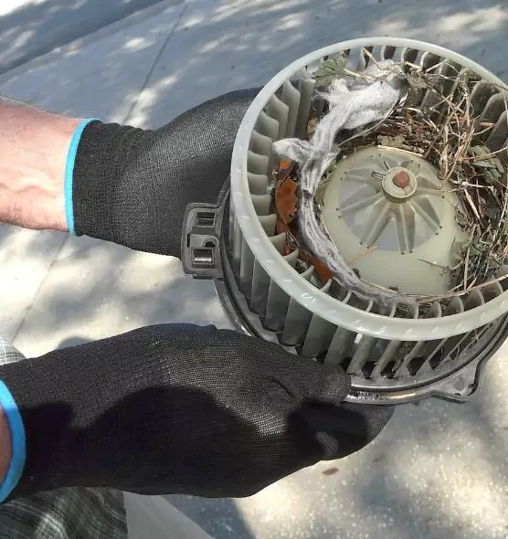 About Air Duct Mice Removal in Centreville, VA