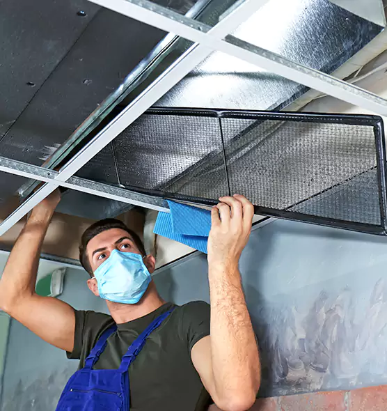 Professional Air Duct Pollen Cleaning in Centreville, VA