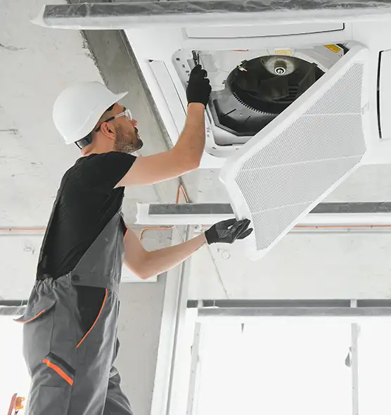 About Air Duct Rodent Removal in Centreville, VA