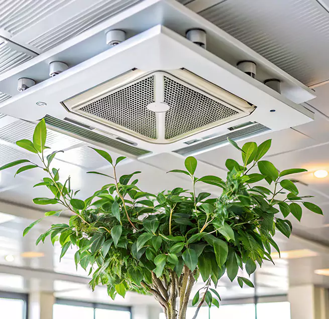 Why Homeowners & Businesses Trust Us in Centreville, VA?